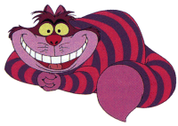 Le chat!!! ^_^